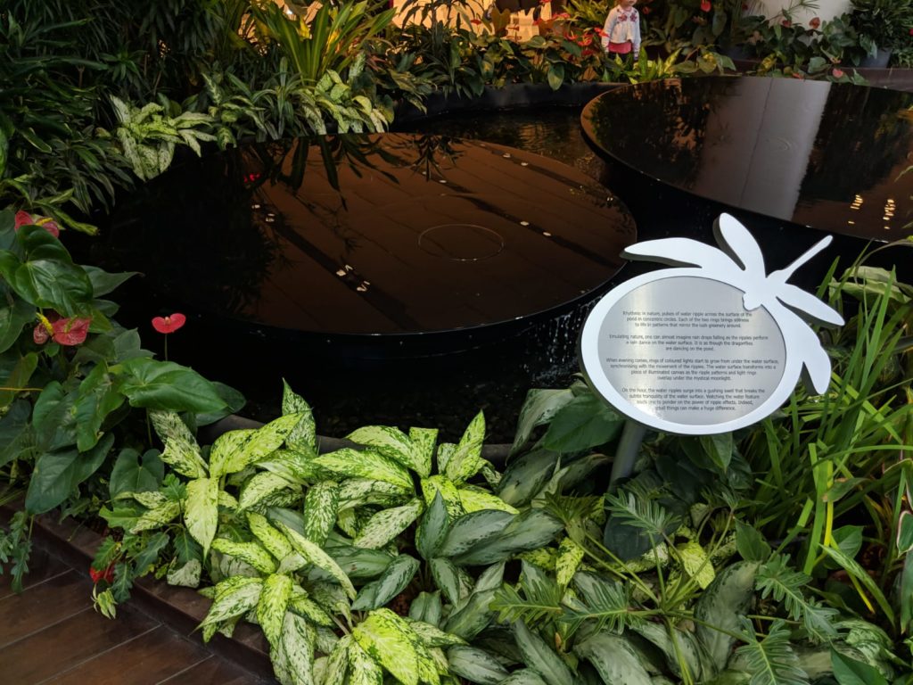 Changi Jewel Pond