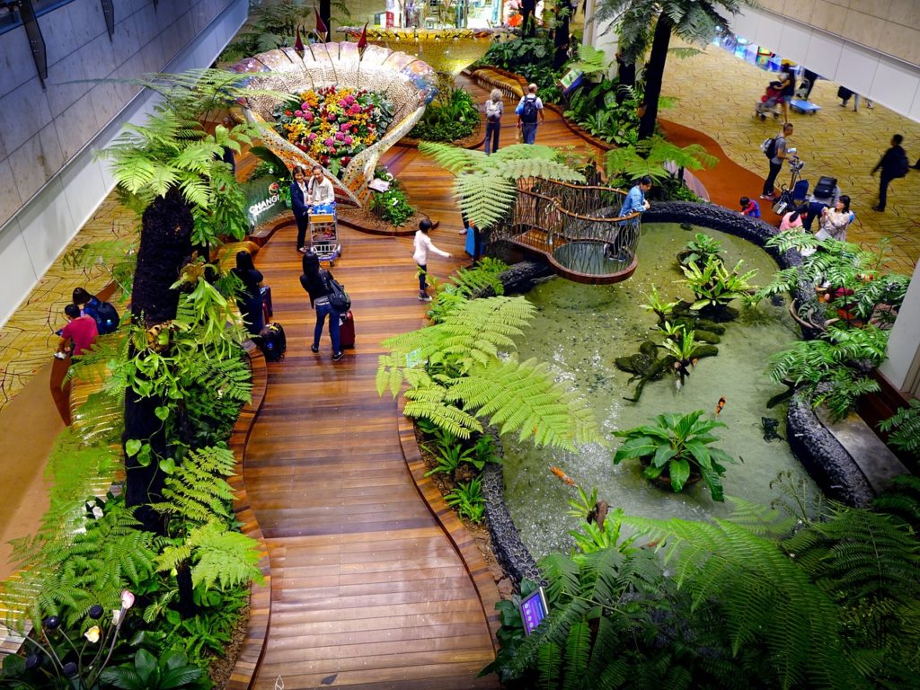 Singapore Changi Airport Garden