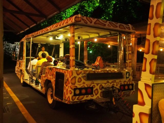 how long is night safari tram ride